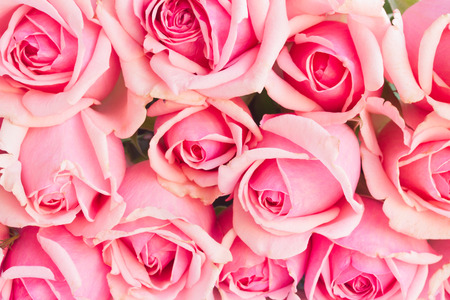 bakcground of bouquet of pink blooming  rosesの写真素材