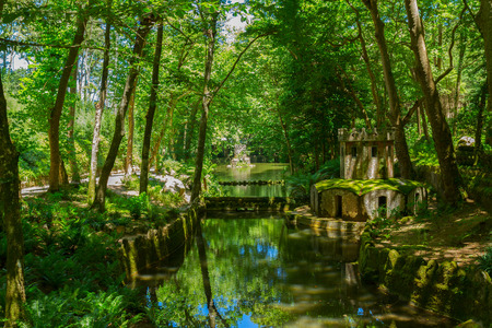 greenery at Gardens of Pena, SIntra, Portugalの写真素材