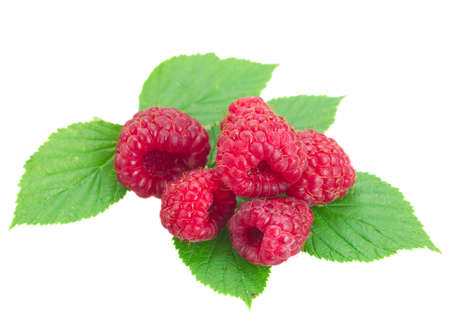 fresh raspberry with leaves   isolated on white background
