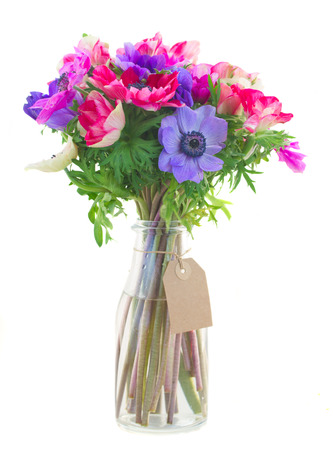 bouquet of anemone flowers isolated on white backgroundの写真素材