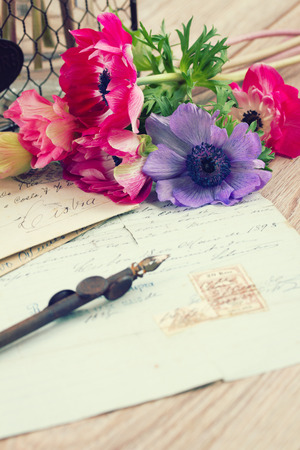 pink anemone flowers  with old retro  quill pen and antique lettersの写真素材