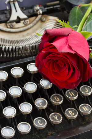 red rose on typewriterの写真素材