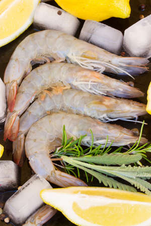 raw prawnsの写真素材