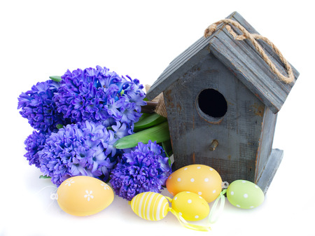Blue  hyacinth flowers with birdcage and easter eggs  isolated on white backgroundの写真素材