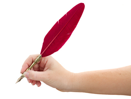hand holding red feather pen   isolated on white backgroundの写真素材