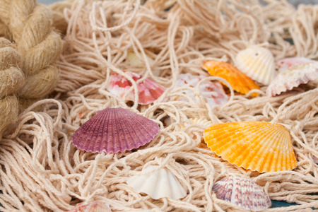 fishing net on wooden backgroundの写真素材