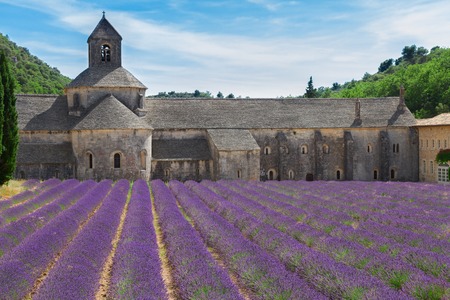 Abbey Senanque and blooming  Lavender field, Franceの写真素材