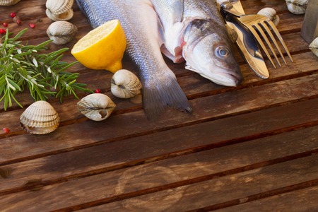 Two Seabass raw fish with seashells, copy space  on wooden tableの写真素材