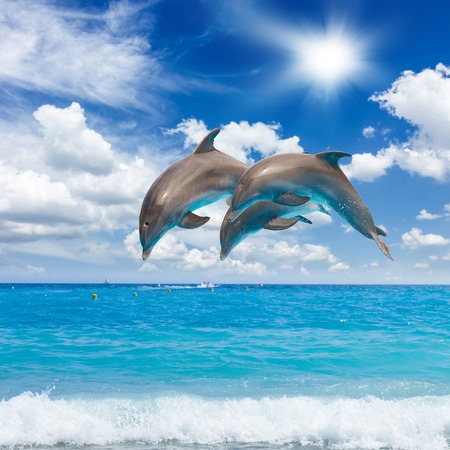 three jumping dolphins, sunny seascape with deep  oceanの写真素材