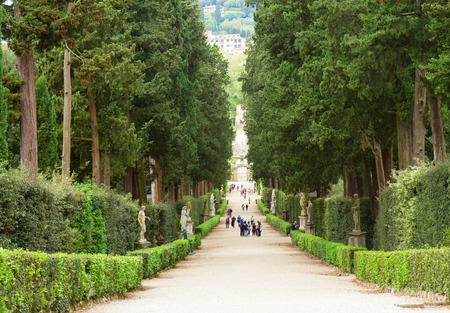 green alley in Boboli gardens at summer day, Florence, Italyの写真素材