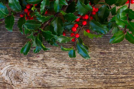 Holly branch with green leaves and red berries on wooden backgroundの写真素材
