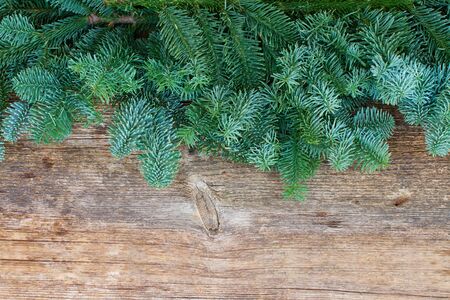 christmas fresh evergreen tree branches on wood en background