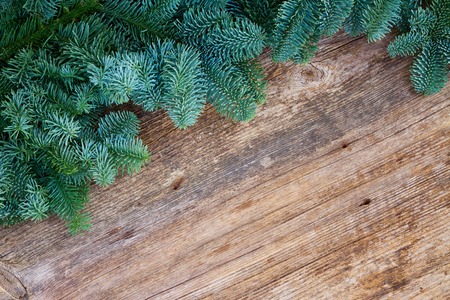 christmas fresh evergreen fir tree branches frame on woodの写真素材