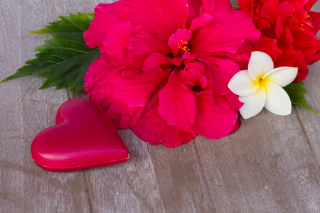 pink hibiscuses with heart  on wooden  table backgroundの写真素材