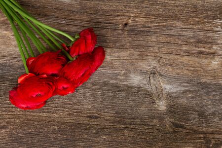 posy of red ranunculus flowers on wooden background with copy space