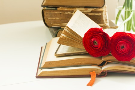 Pile of old books with red   flowers