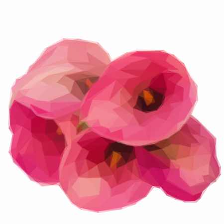 Low poly illustration fresh Calla lilly flowersのイラスト素材