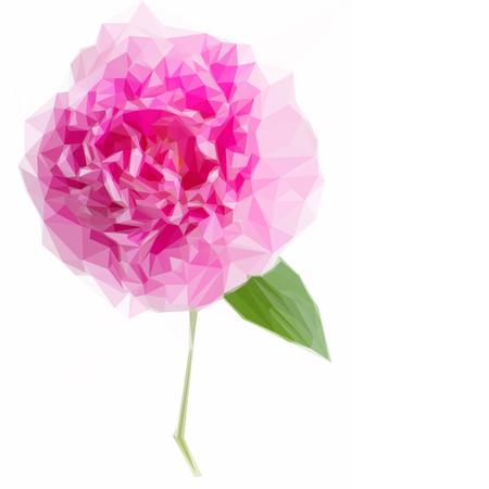 Low poly illustration one pink peony flowerのイラスト素材