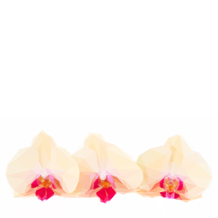 Low poly illustration three orange fresh orchid flowers branch isolated on white backgroundのイラスト素材