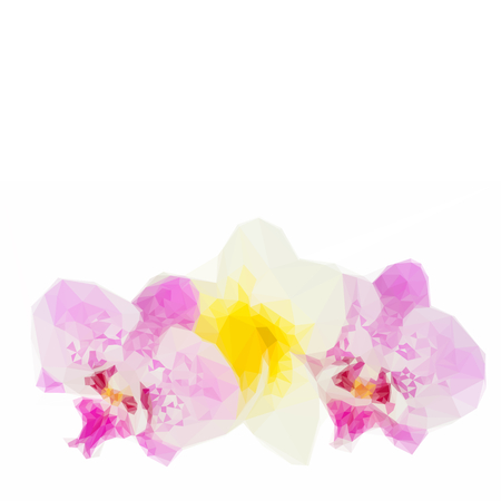 Low poly illustration row of fresh purple orchid and frangipani flowers isolated on white backgroundのイラスト素材