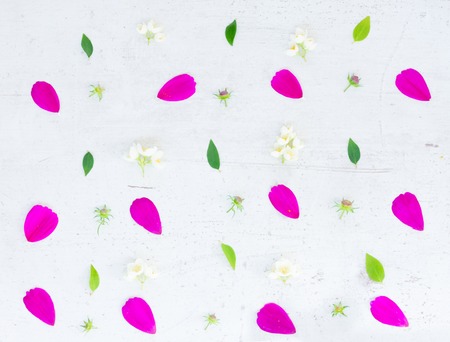 Cosmos pink flowers festive flat lay composition on white tableの写真素材
