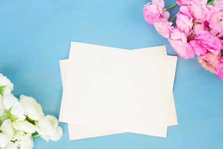 Pink and white ranunculus flowers on blue wooden background with copy space on blank paper notes