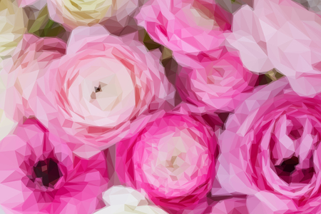 Low poly illustration Pink and white ranunculus flowers close up backgroundのイラスト素材