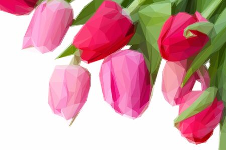 Low poly illustration close up of pink tulipsのイラスト素材