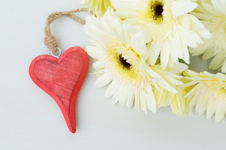 Beige gerbera flowers for valentines day on gray wooden tableの写真素材