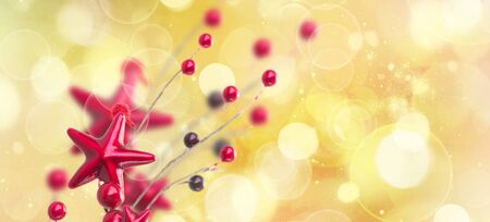 branch of christmas stars and berries on golden bokeh backgroundの写真素材