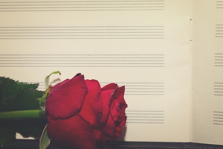 open empty notes paper with red rose close up, retro tonedの写真素材