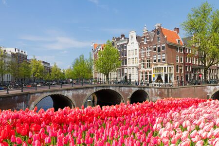 bridges of canal ring at sunny spring day with tulips, Amsterdam, Netherlandsの写真素材