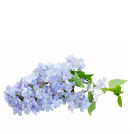 Low poly illustration Bunch of fresh blue lilac flowers isolated on white background