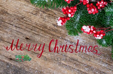 red and white christmas - twig with red berries and green evergreen tree on wood with copy space and merry christmas greetingsの写真素材