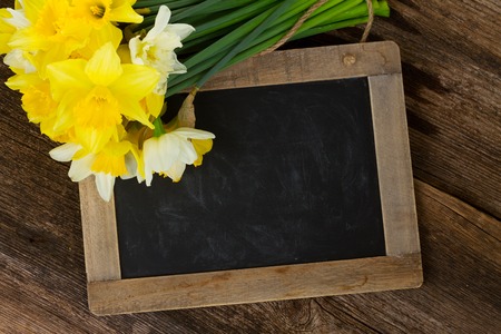 Fresh spring daffodils light and dark yellow, copt space on blackboardの写真素材