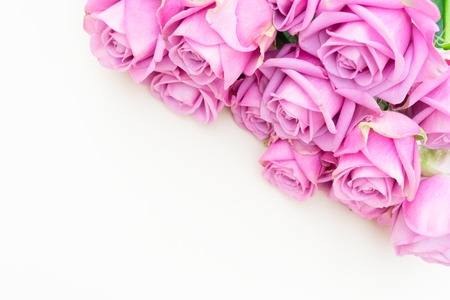 Valentines day violet fresh roses border close up top view flat ly sceneの写真素材