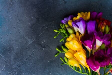 Posy of fresh freesia flowers close up on gray stone background with copy spaceの写真素材