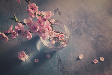 pink cherry blossom fresh twigs bunch on gray background, retro tonedの写真素材