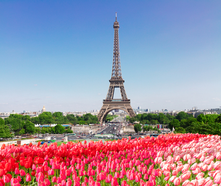 Eiffel Tower and Paris skyline in spring sunny day with tulips flowerbed, France