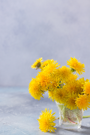 Fresh dandelions bouquet on gray background with copy spaceの写真素材
