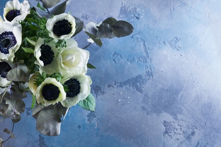 Fresh colorful Anemones flowers on gray and blue stone background with copy spaceの写真素材