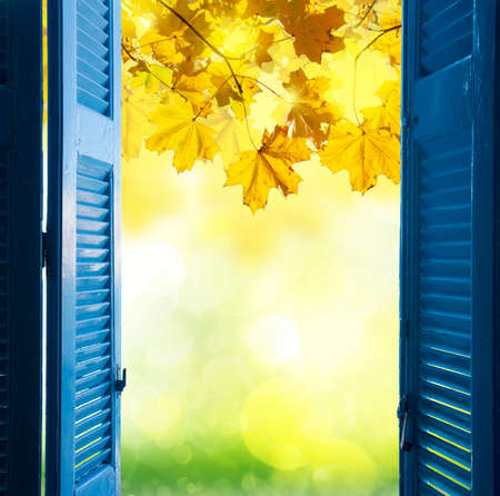 room with open blue window shutters to - fall garden with yellow leaves and green grassの写真素材