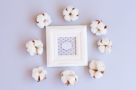 Cotton flower buds on blue with frameの写真素材