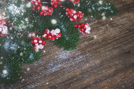 twig with red berries and green evergreen tree on aged wooden background with copy space, retro tonedの写真素材