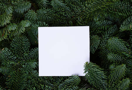 Christmas background with fresh evergreen tree banches, copy space on white paper noteの写真素材