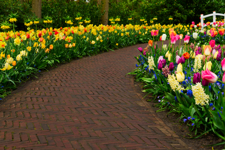 Colourful Tulips, Hyacinth and Daffodils Flowerbeds and Stone Pathway in Formal Gardenの写真素材