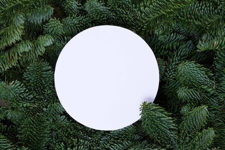 Christmas background with fresh evergreen tree banches, copy space on white round paper note