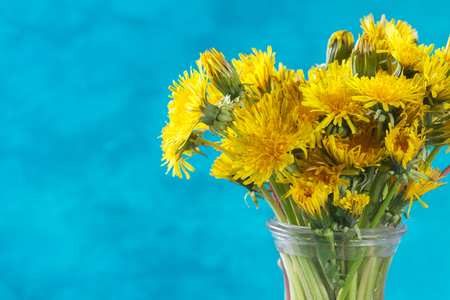 Yellow dandelion posy on blue background with copy spaceの写真素材