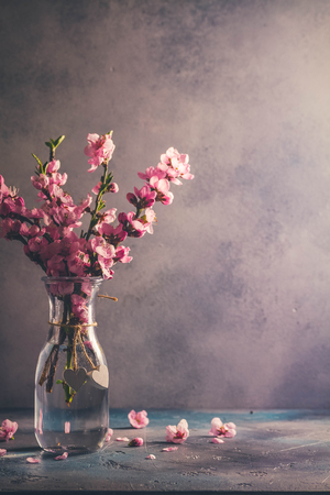 pink cherry blossom twigs posy in glass vase on gray background with copy space, retro tonedの写真素材