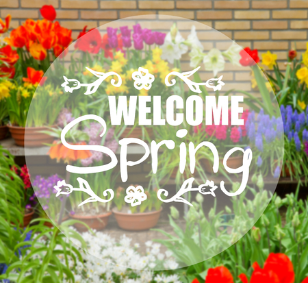 variety of spring flowers in pots on display in shop with welcome spring wordsの写真素材